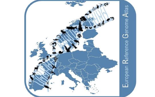 Wissenschaft plädiert für einen "European Reference Genome Atlas" zur Entschlüsselung der Genome aller europäischen Arten