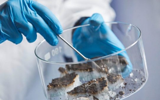 Wenn Glas den Flammen widersteht