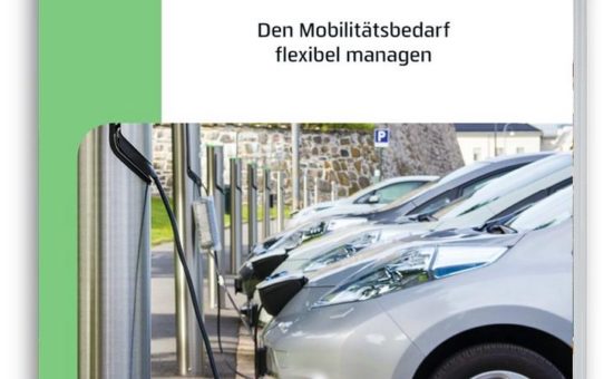 E-Mobilität in der Pkw-Flotte