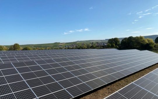 EnBW-Solarpark in Welgesheim liefert Strom für 1.000 Haushalte