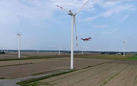 Echte BNK von Parasol sticht Wettbewerber aus.