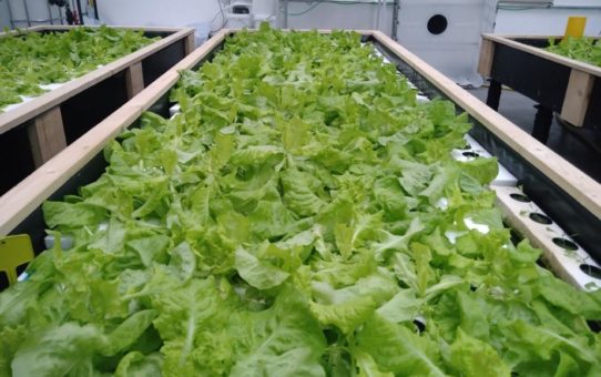 Wie wollen wir wirtschaften und produzieren?