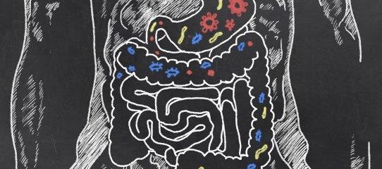 Umfangreiche Datenressource für die Mikrobiom-Forschung