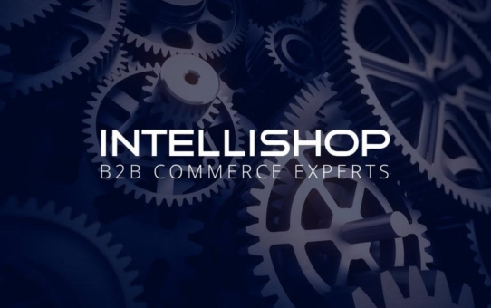 Systemintegration mit IntelliShop: B2B E-Commerce im Maschinenbau