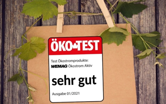 "WEMAG Ökostrom Aktiv" unter Top 10 der Ökostromprodukte