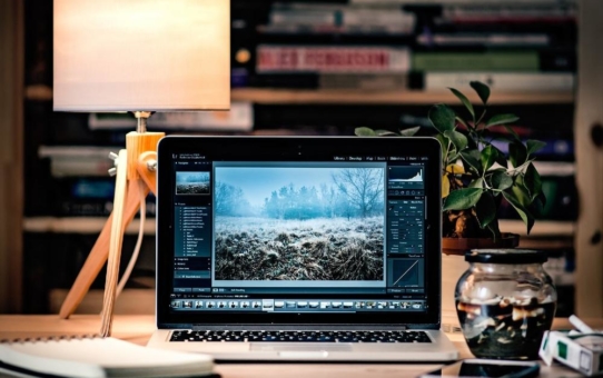 Nachhaltigkeit im Home Office - Pflicht und Kür beim Arbeiten von zu Hause