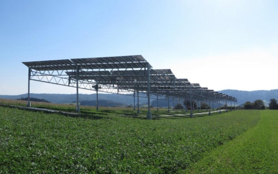 Auf Ackerflächen doppelt ernten: Leitfaden zur  Agri-Photovoltaik erschienen