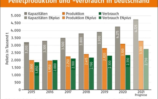 Pelletmarkt in Deutschland zieht spürbar an - Hoher Absatz an Feuerungen und erstmals mehr als 3 Mio. Tonnen Produktion