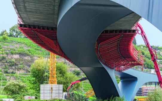 Mit elegantem Schwung in Rekordzeit über den Neckar