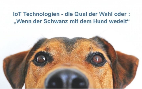 IoT-Technologien - die Qual der Wahl oder: "wag the dog" - wenn der Schwanz mit  dem Hund wedelt! (Webinar | Online)