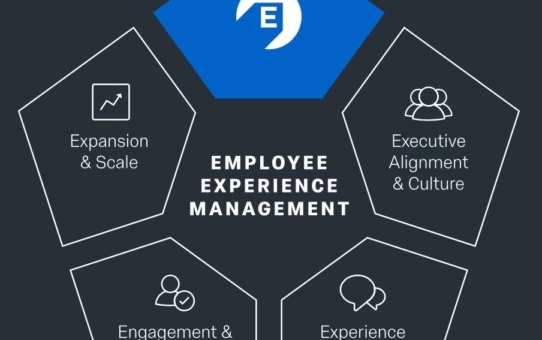 Effiziente neue Qualtrics-Methode überwindet den „Experience-Gap“ von Mitarbeitern