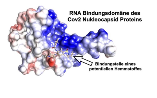 Mit Regensburger High-Tech gegen das Corona-Virus