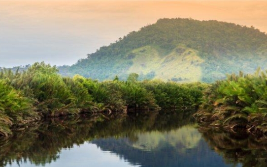 Übermaßtransport nach Borneo mit AsstrA