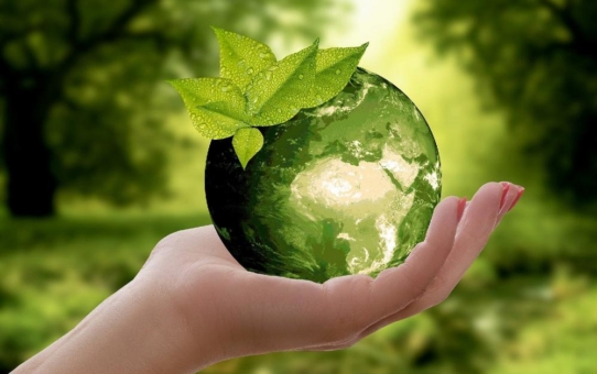 Falsche Zurückhaltung beim Thema Nachhaltigkeit - ein gutes Gewissen kann auch die Unternehmenskasse entlasten