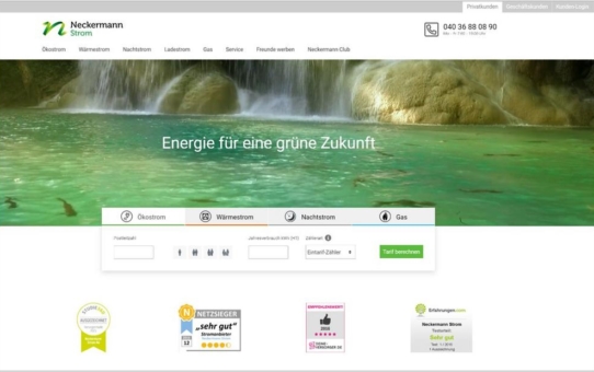 Jetzt noch schneller zu Deutschlands günstigem Ökostrom