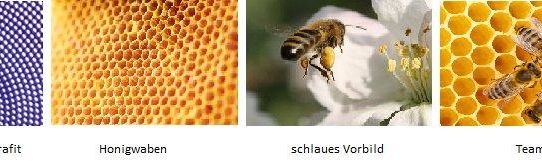 Was uns Bienen über unsere Arbeit lehren