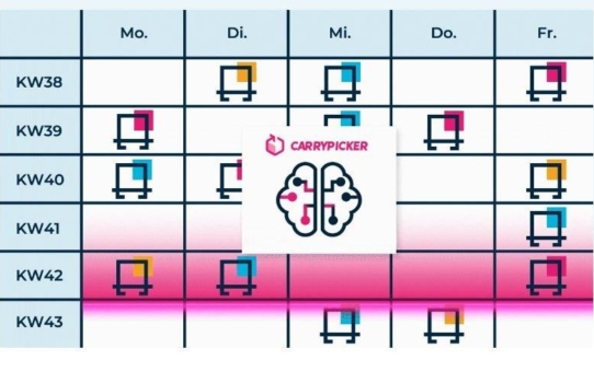 Vermeidung von Leerfahrten und Transparenz in der Supply Chain mit Carrypicker