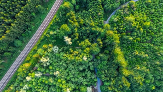 Klimastrategie 2030: Knorr-Bremse treibt umfangreiche Klimaschutzmaßnahmen voran