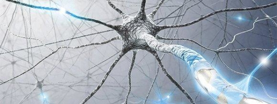 Zusammenschluss transatlantischer Kräfte zur Stärkung von Neurowissenschaft und Neurotechnologie