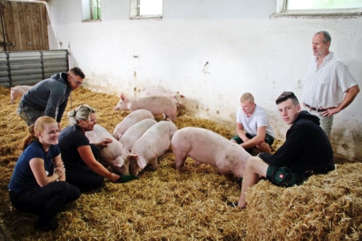 Nachhaltige Schweinerei aus Sachsen
