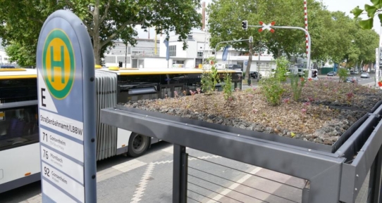 Grünes Dach für die Fahrgäste