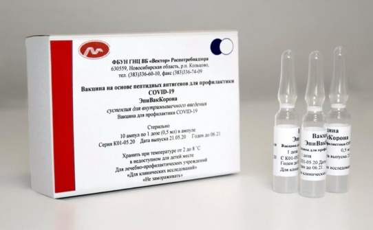 Putin kündigt die Zulassung des zweiten Impfstoffs gegen COVID-19 an