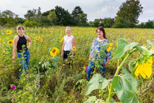 Blühwiese wird zur Augenweide