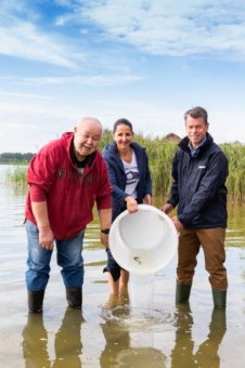 WEMAG unterstützt Aktion des Landesanglerverbandes "Rettet den europäischen Aal"