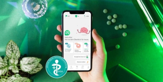 Schlechte Versorgung von Migräne Patient:Innen - Digitale Gesundheitsanwendungen schaffen Abhilfe