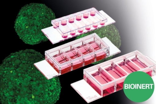 ibidi Produktneuheit: Keine Adhäsion von Suspensionszellen und Sphäroiden - die neuen Bioinert µ-Slides