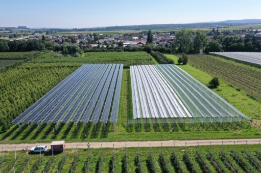 Erste Agri-PV-Anlage für CO2-neutralen Obstanbau im Test