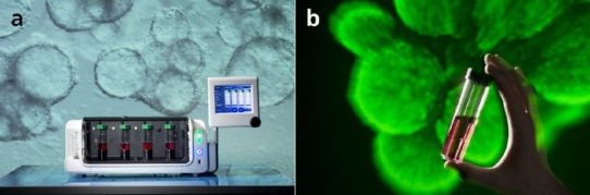 Stammzellen aus dem Bioreaktor