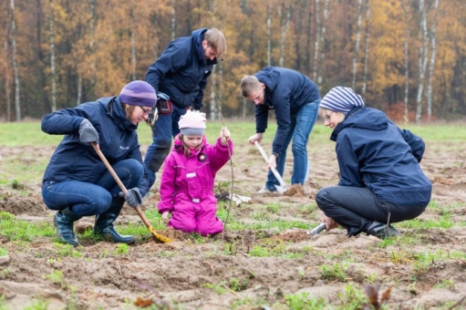 Schon mehr als 41 Hektar mit jungen Bäumen bepflanzt