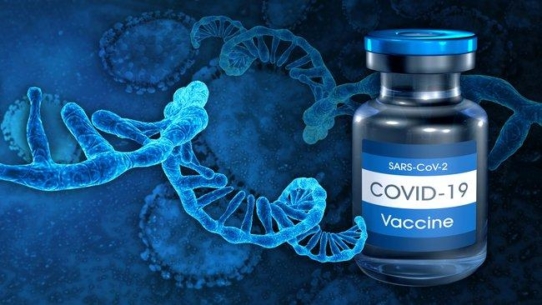 Antikörperbildung nach Impfung mit unterschiedlichen mRNA-Impfstoffen und nach COVID-19-Infektion