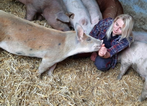 Ein Außenklimastall für 1.760 glückliche Schweine – die Genießergenossenschaft Sachsen eG startet mit dem Bau