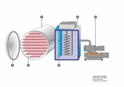 Die Rolle der Vakuumtechnik bei der Gefriertrocknung