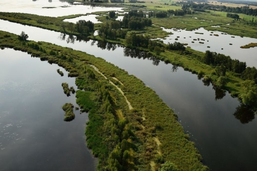 Kann "Rewilding" die Erhaltung der Biodiversität mit nachhaltiger Regionalentwicklung verbinden?