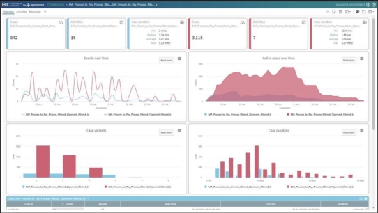 BIC Process Mining by Apromore ist laut Everest Group ein Star Performer im Process Mining