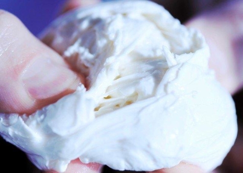 BRAIN Biotech und Formo: Strategische Kooperation europäischer Biotech-Experten für tierfreie Produktion von Milchproteinen