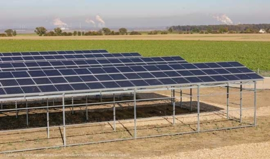 SUNfarming Group entwickelt und realisiert neuartige Agri-Solar-Systeme im Rheinland