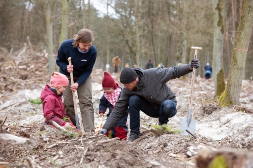 Etwa 4.300 Bäume für den WEMAG-Zukunftswald bei Dömitz gepflanzt