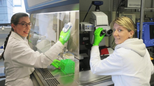 Potsdamer Biomaterialien für Zahnmediziner der Charité