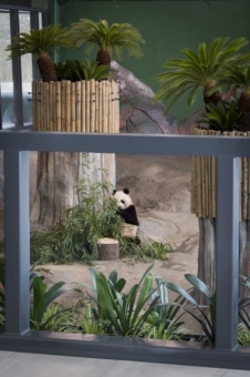 Optimaler Durchblick im Zoo