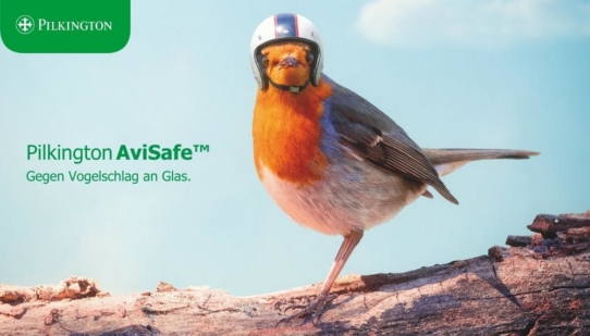 Die Lösung für Vogelschlag an Glas: Pilkington AviSafe™