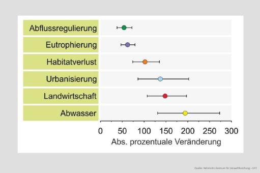 Ökologische Funktionen von Fließgewässern weltweit stark beeinträchtigt