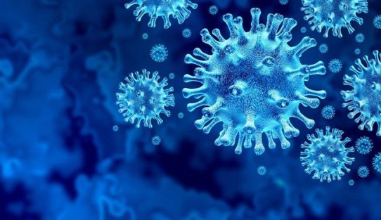 Corona-Impfung von Genesenen aktiviert das Immunsystem gegen SARS-Coronaviren, aber nicht gegen Corona-Erkältungsviren