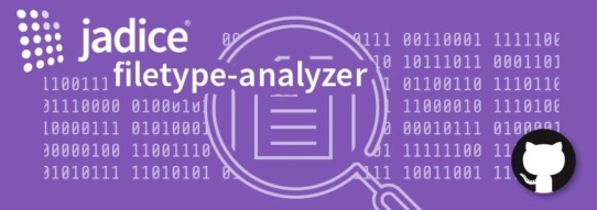Optimale Datenstromanalyse mit dem Filetype-Analyzer