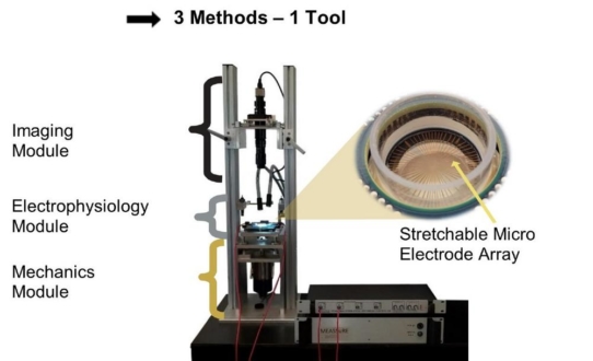 MicroElectrode Array Stretching Stimulating und Recording Equipment (MEASSuRE) NEU!