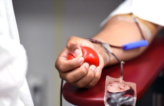 Blut rettet Leben - am 14. Juni ist Weltblutspendetag