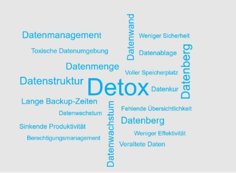 Dienstag im Expertenwebinar: So funktioniert Detox für Ihre Datenumgebung